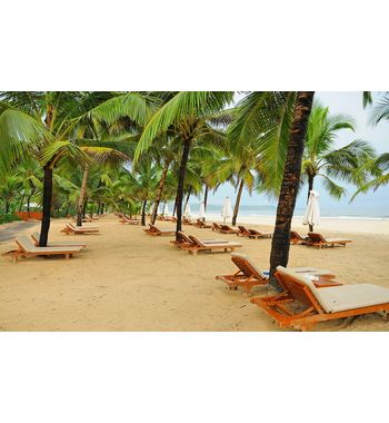 Тур из Ташкента на ГОА!